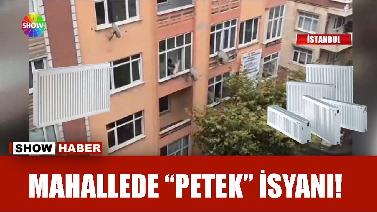Petekleri taşımaya üşenip aşağı attılar!