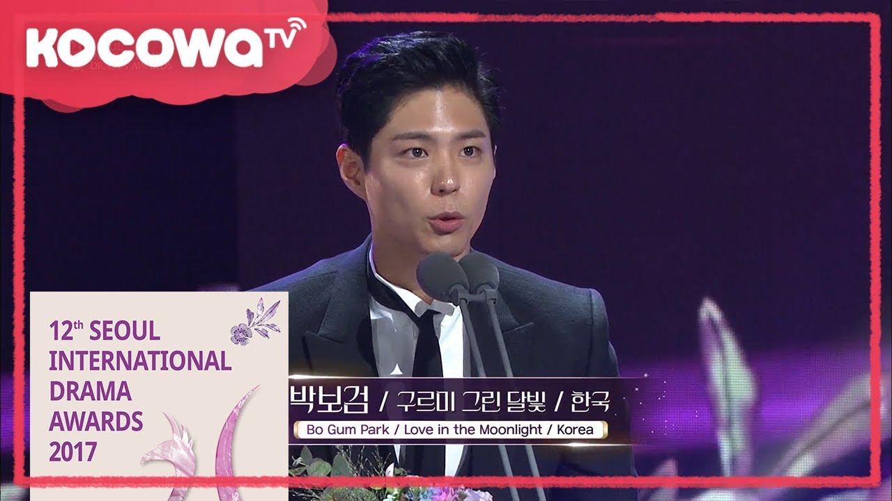 [Seoul International Drama Awards] Outstanding actor