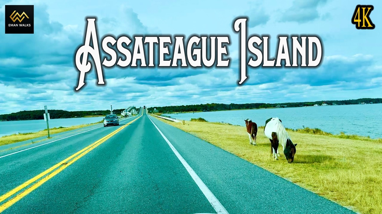 Assateague Island Maryland – Relaxing Off-Season Drive [4K]