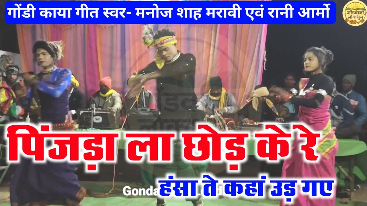 पिंजड़ा ला छोड़ के रे हंसा ते कहां उड़ गए || गोंडी काया गीत || स्वर- मनोज शाह मरावी एवं रानी आर्मो 