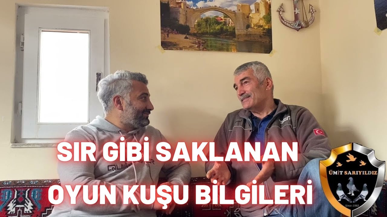 Ankaranın Bilgi Bankası Elektrikçi Erdoğan Oyun Kuşuna Dair Herşey. #güvercin