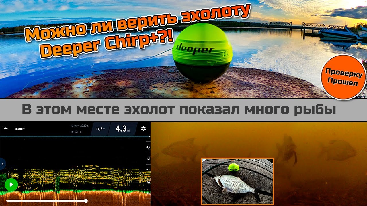Проверка показаний эхолота Deeper CHIRP+ Правду ли показывает эхолот, что в этом месте много рыбы?