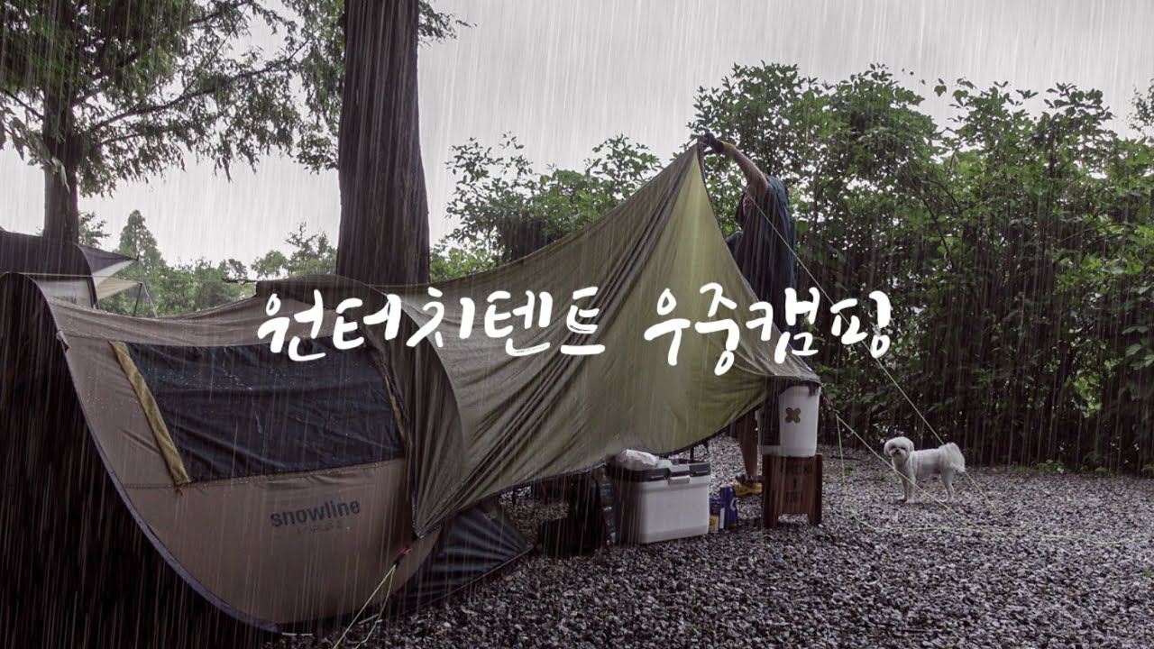 이제 그냥 비를 즐기려구요 | 원터치텐트로 8주 연속 우중캠핑 | 파주 산머루농원캠핑장