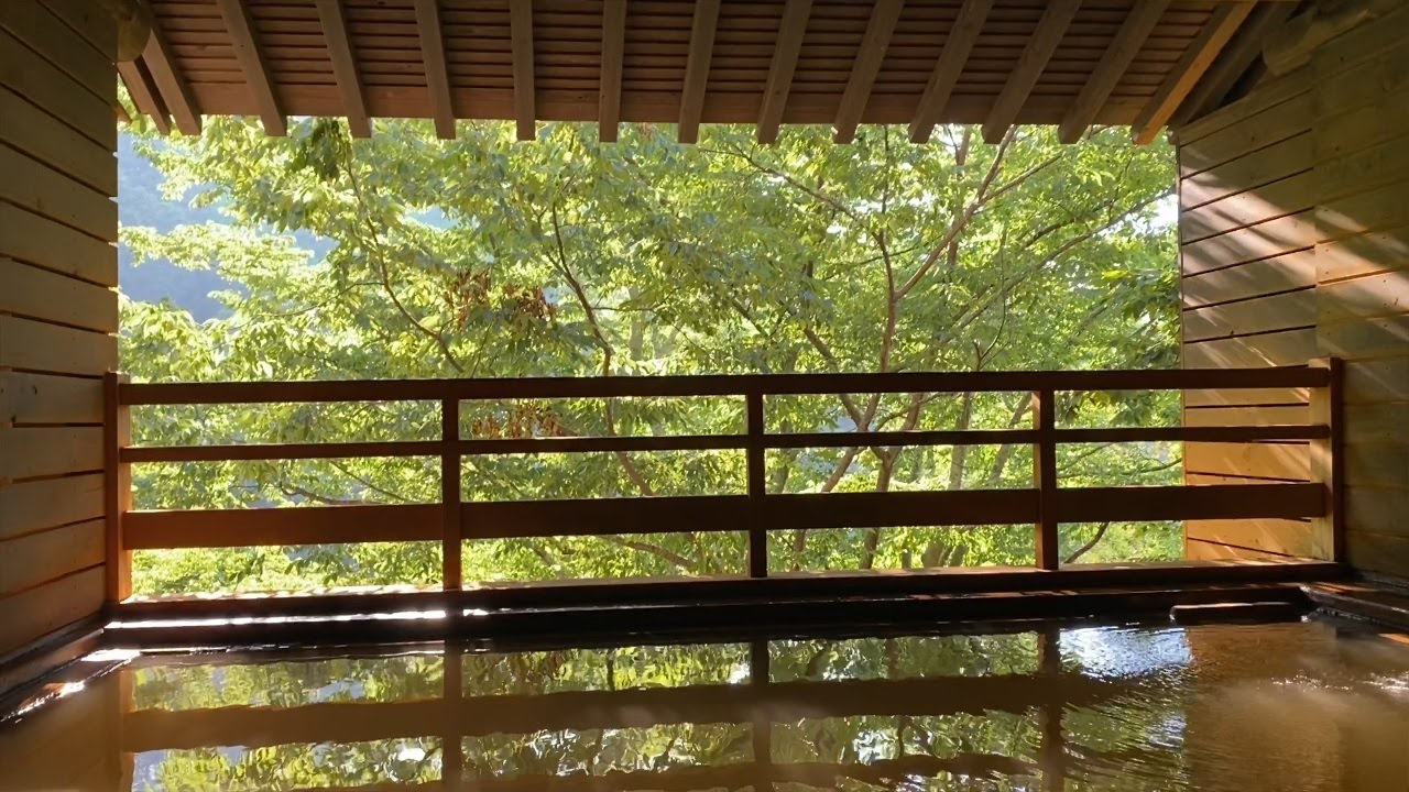 岸権旅館に泊ってきた【群馬県一人旅】伊香保温泉の街並み