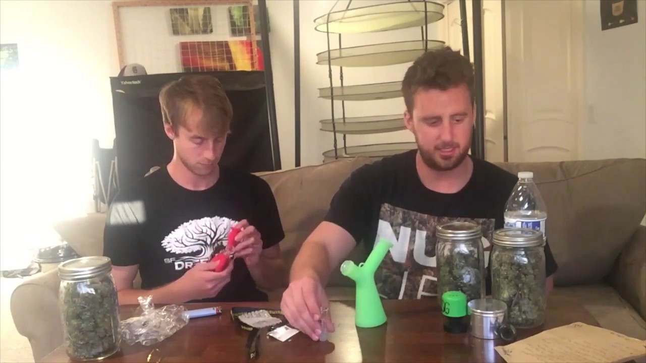Waxmaid Mr  & Miss Y silicone Cannabis Waterpipe Review