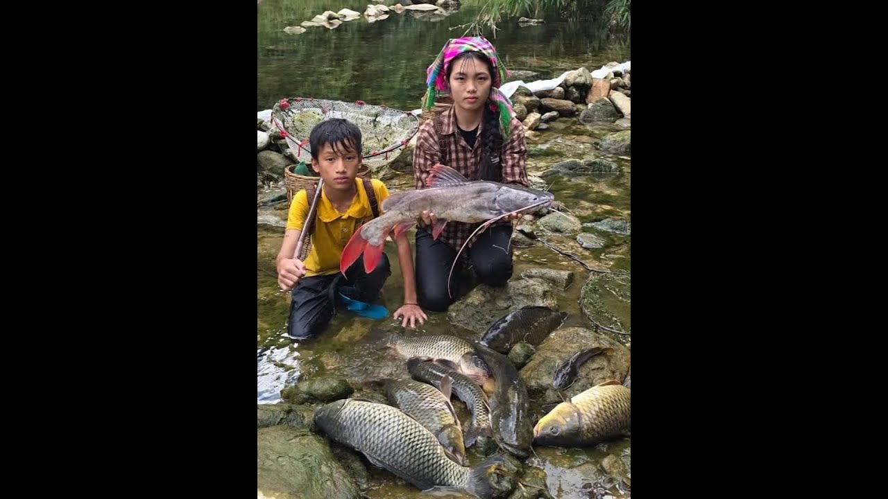 捕鱼技术