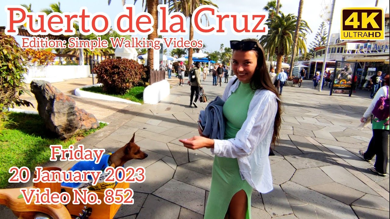 TENERIFE 🏝️ Puerto de la Cruz Canary Islands 20 January 2023 Teneriffa Kanarische Inseln Canarias