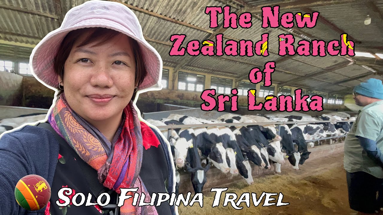 Visiting Dairy Farms in Nuwara Eliya