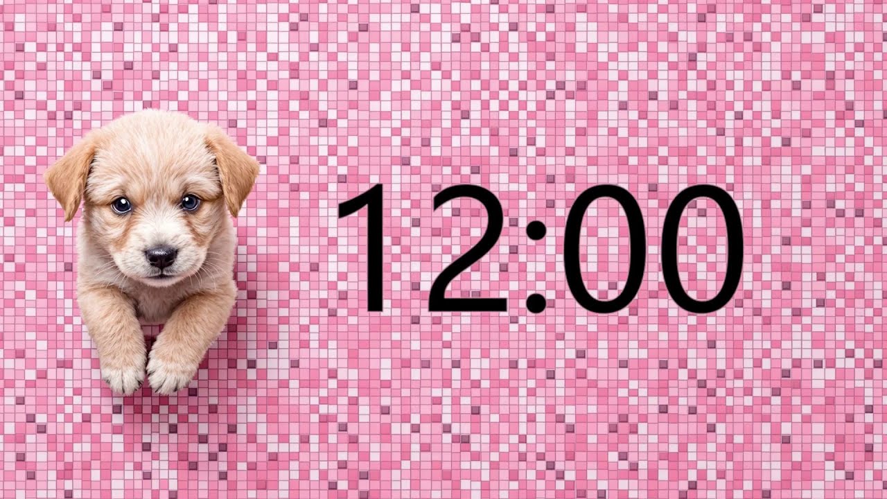 12 Minute Timer (GOOD PUPPY MUSIC + Sound Notification at Zero)