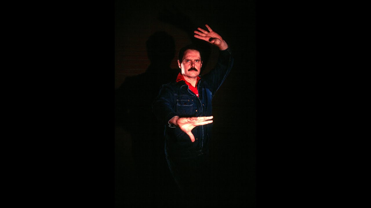 Toward Realistic Demonstrations and Training in Baguazhang