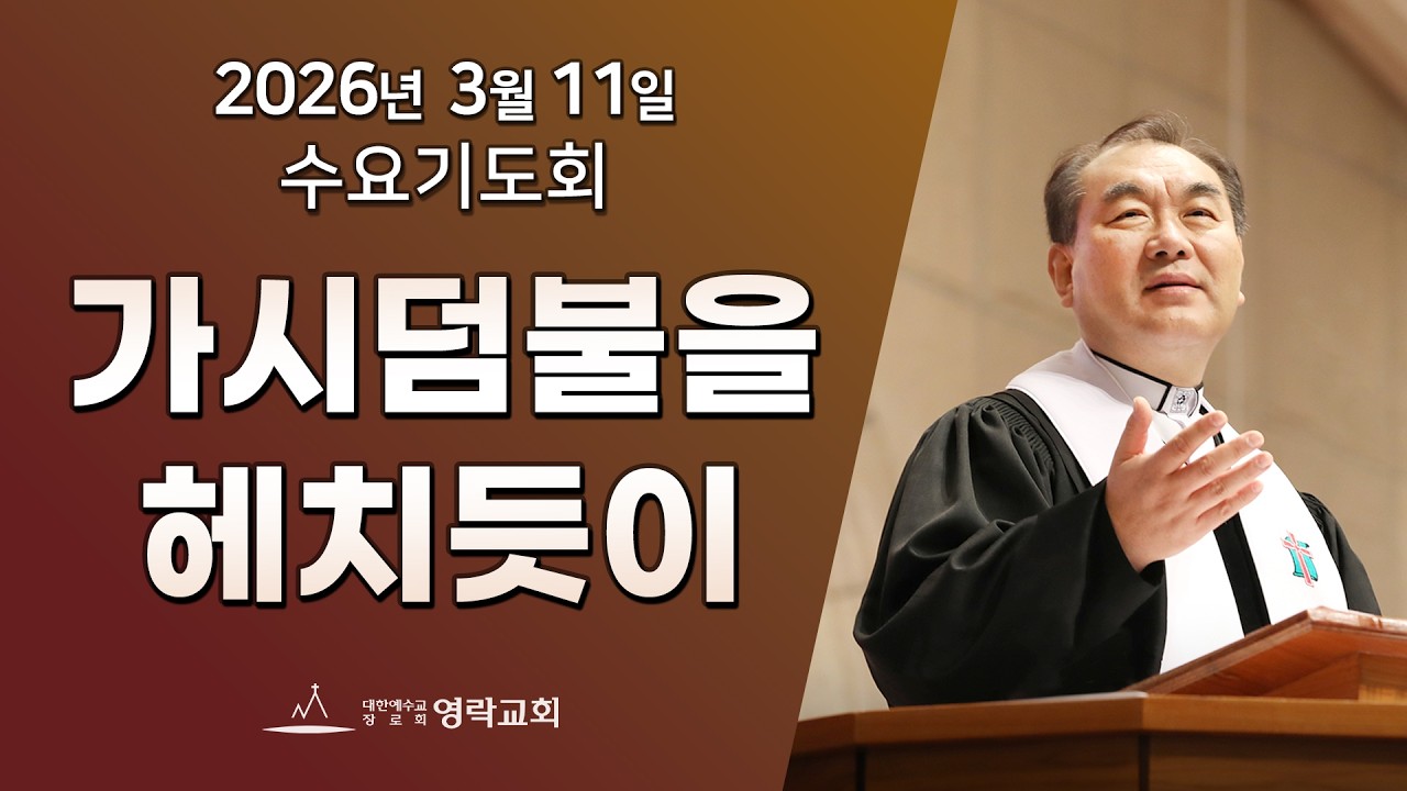 2026년 3월 11일 