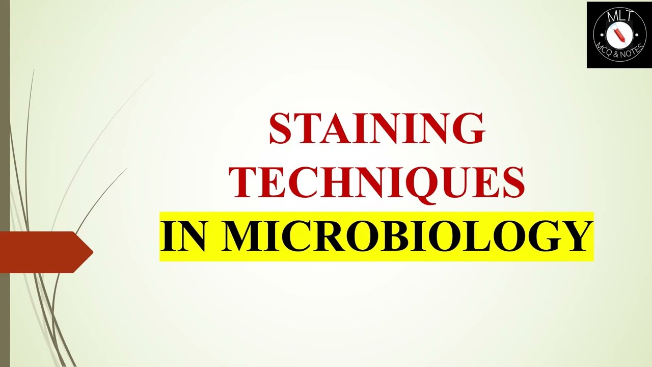 STAINING TECHNIQUES IN MICROBIOLOGY|| FIXATION||DIFFERENT METHODS