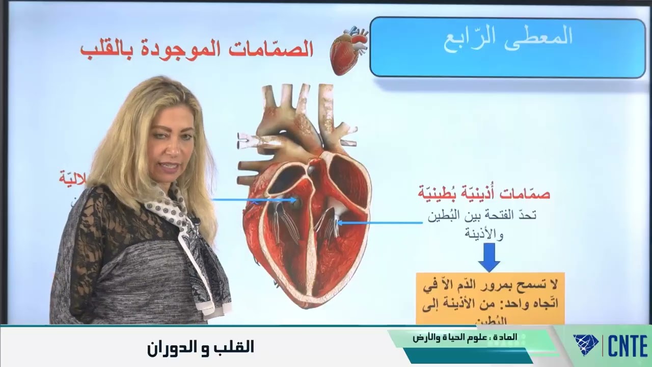 التاسعة أساسي - علوم الحياة والأرض - القلب و الدوران