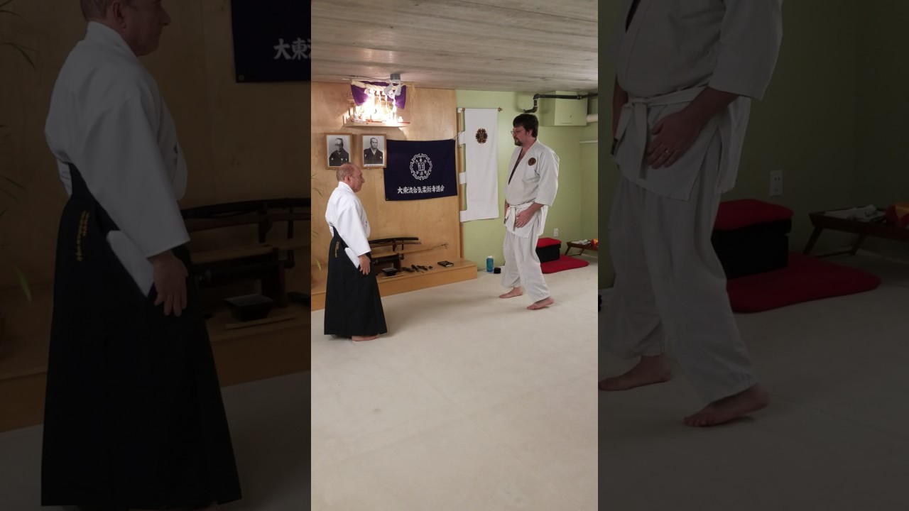 AGA AIKI ROY GOLDBERG SENSEI