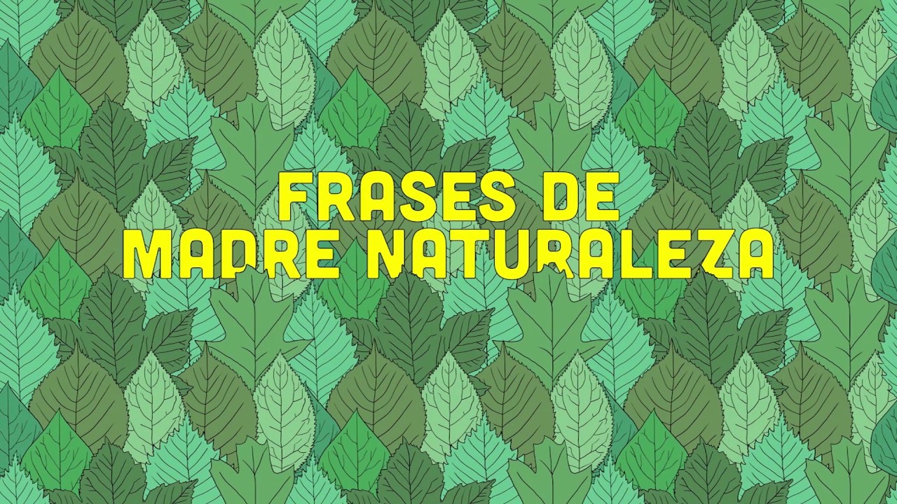 MIXTA - Madre Naturaleza - Lagarto