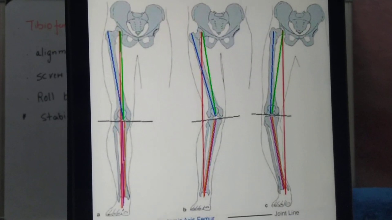Biomechanics of Knee joint