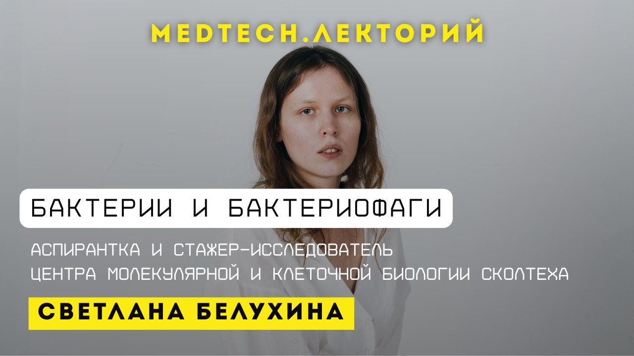 Лекция | Бактерии и бактериофаги | Светлана Белухина