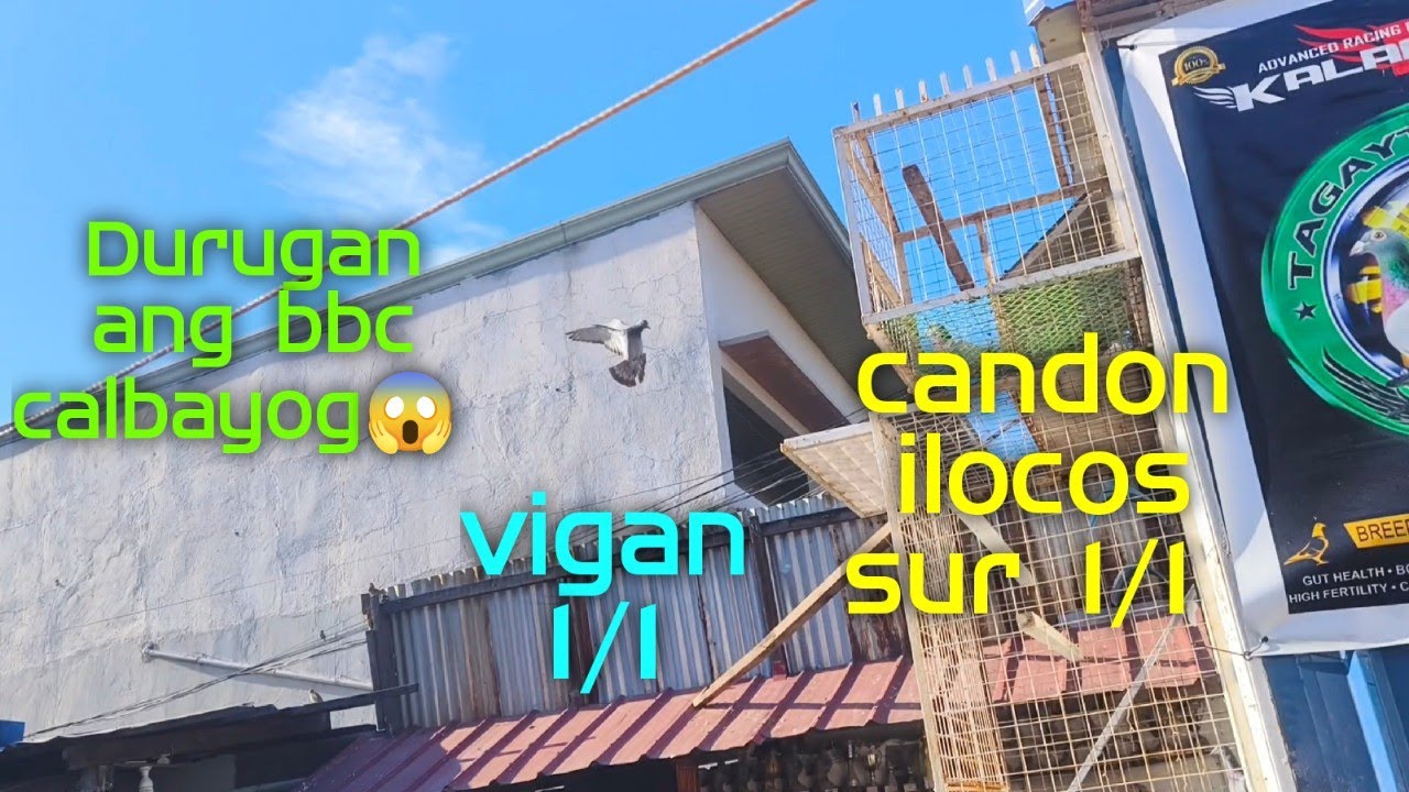 Durugan ang bbc calbayog😱 candon ilocos sur 1/1 vigan 1/1