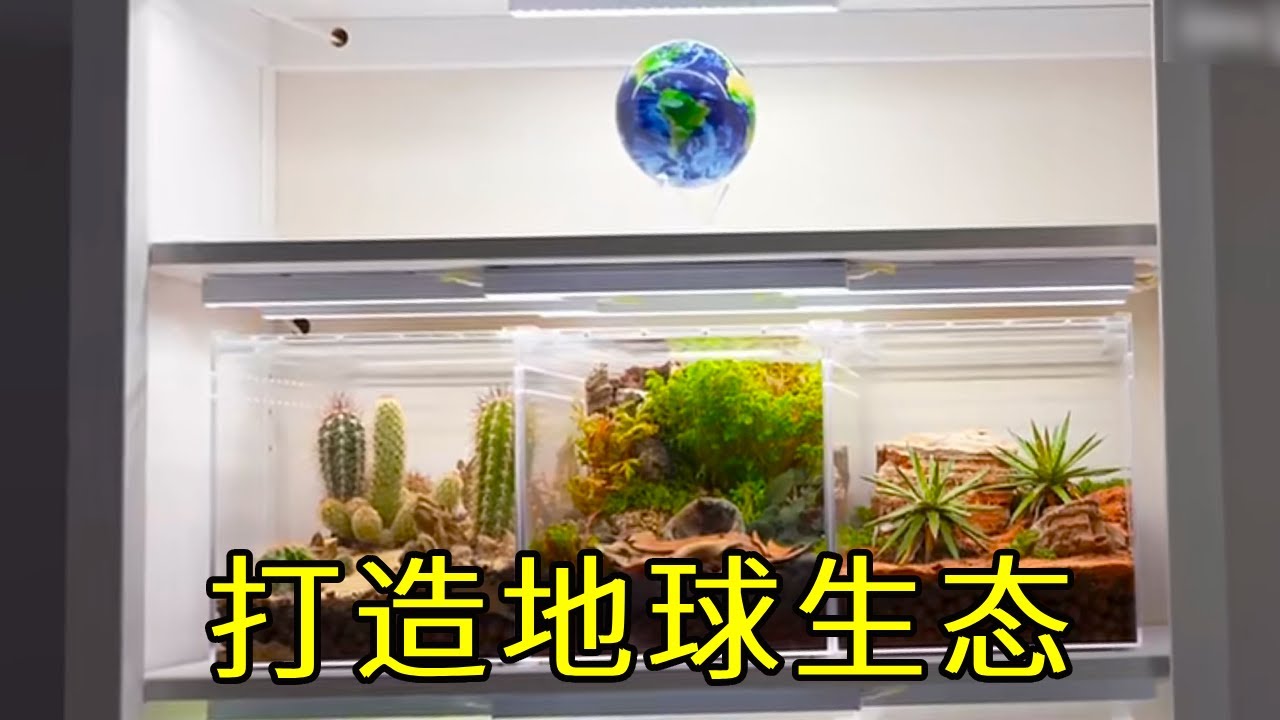 打造地球生态，模拟12种地球生态系统并搭配生物，有难度也很好玩~