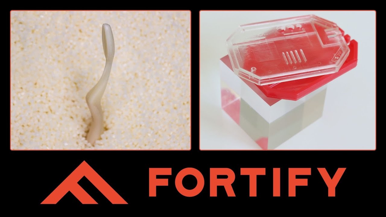 3D Printed Injected Mold Tools Printing the Entire Thermoplastics Pyramid!!
