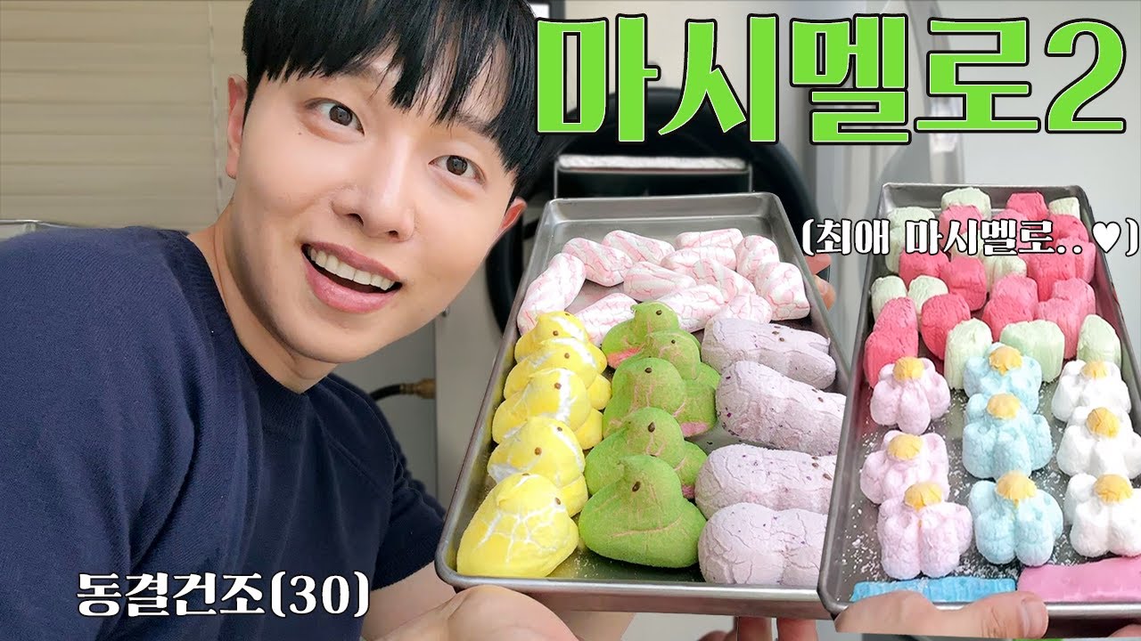 미국에서 사온 마시멜로 다 모아서 동결건조