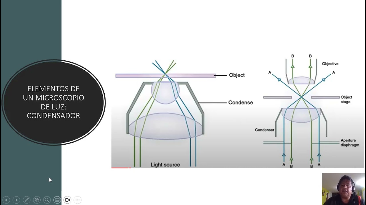 Introducción a la microscopía óptica