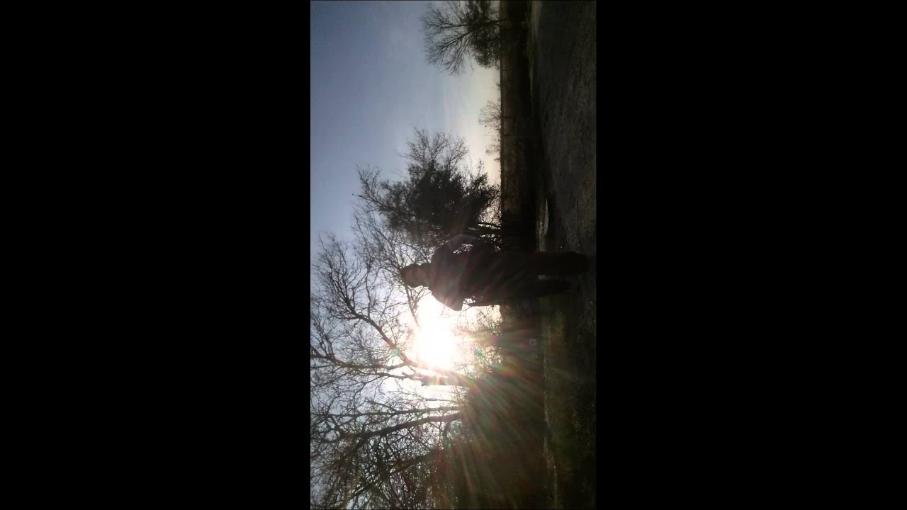 Shooting Arsenal SLR- 106FR