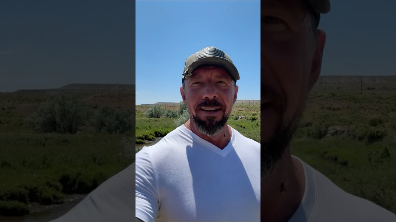 The Mainstream Media Isn&rsquo;t Journalism &mdash; It&rsquo;s Psychological Warfare.