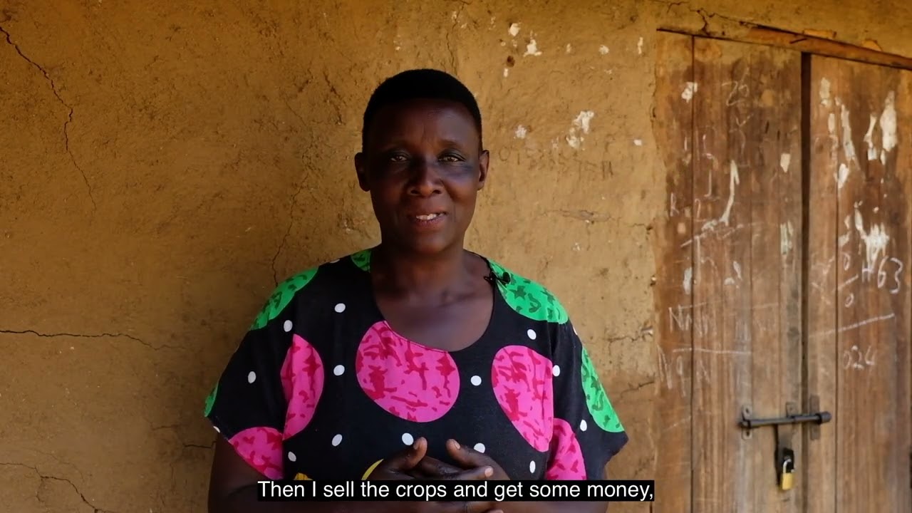 Transforming Wanale Ridge, Uganda | How Evergreen Africa is empowering communities for the future