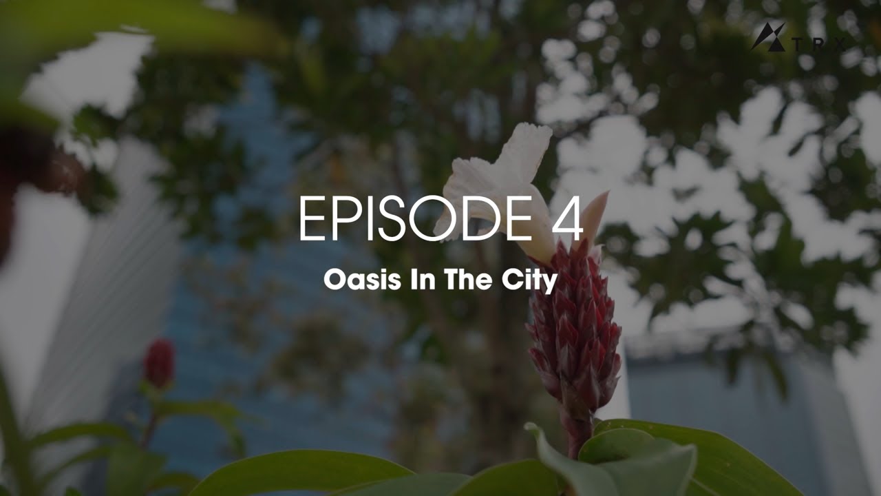 Discover TRX - Episode 4: Oasis In The City