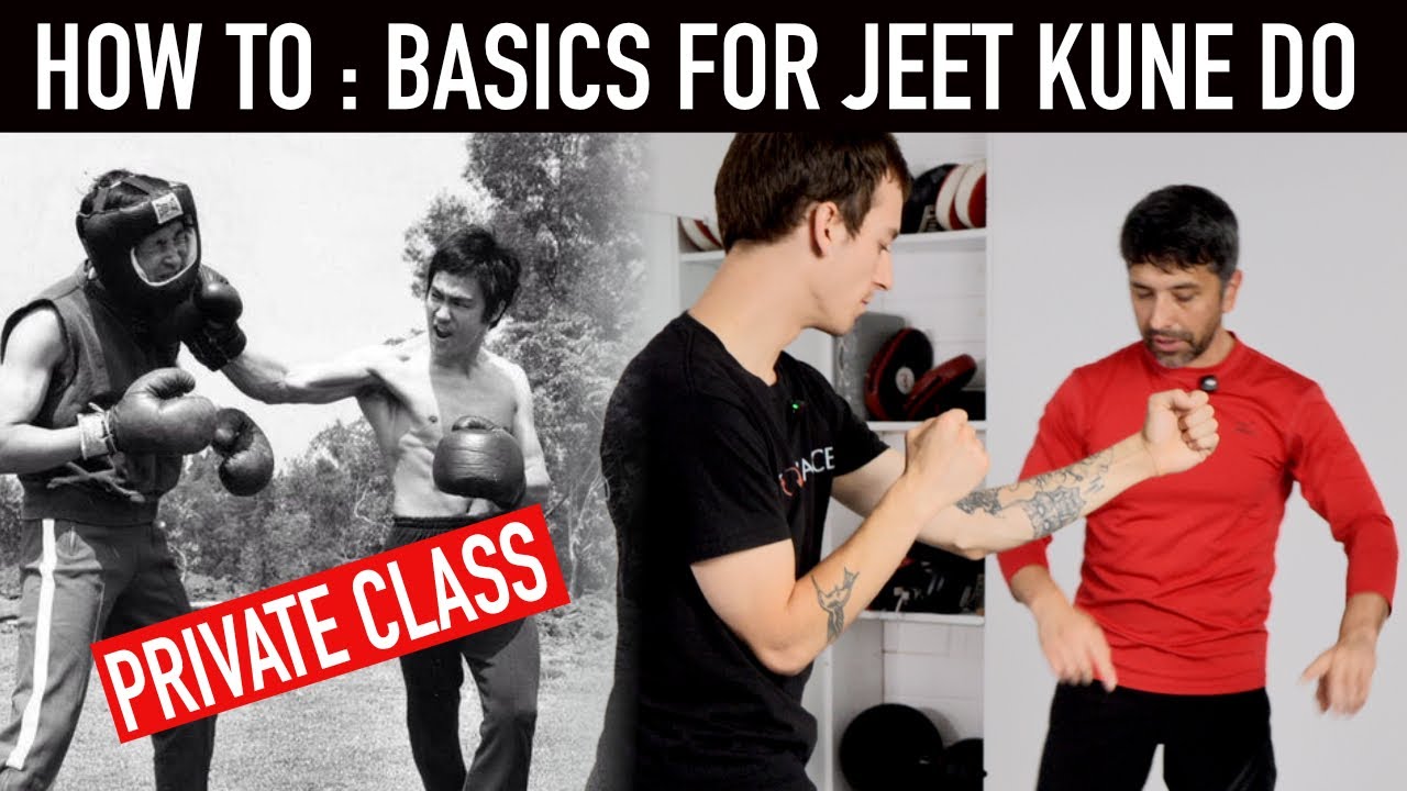 For Beginners : Martial Arts - Self Defense - Boxing - Jeet Kune Do