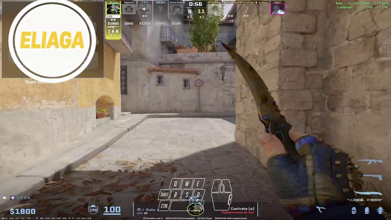 Counter Strike 2 (20 K PREMIER)