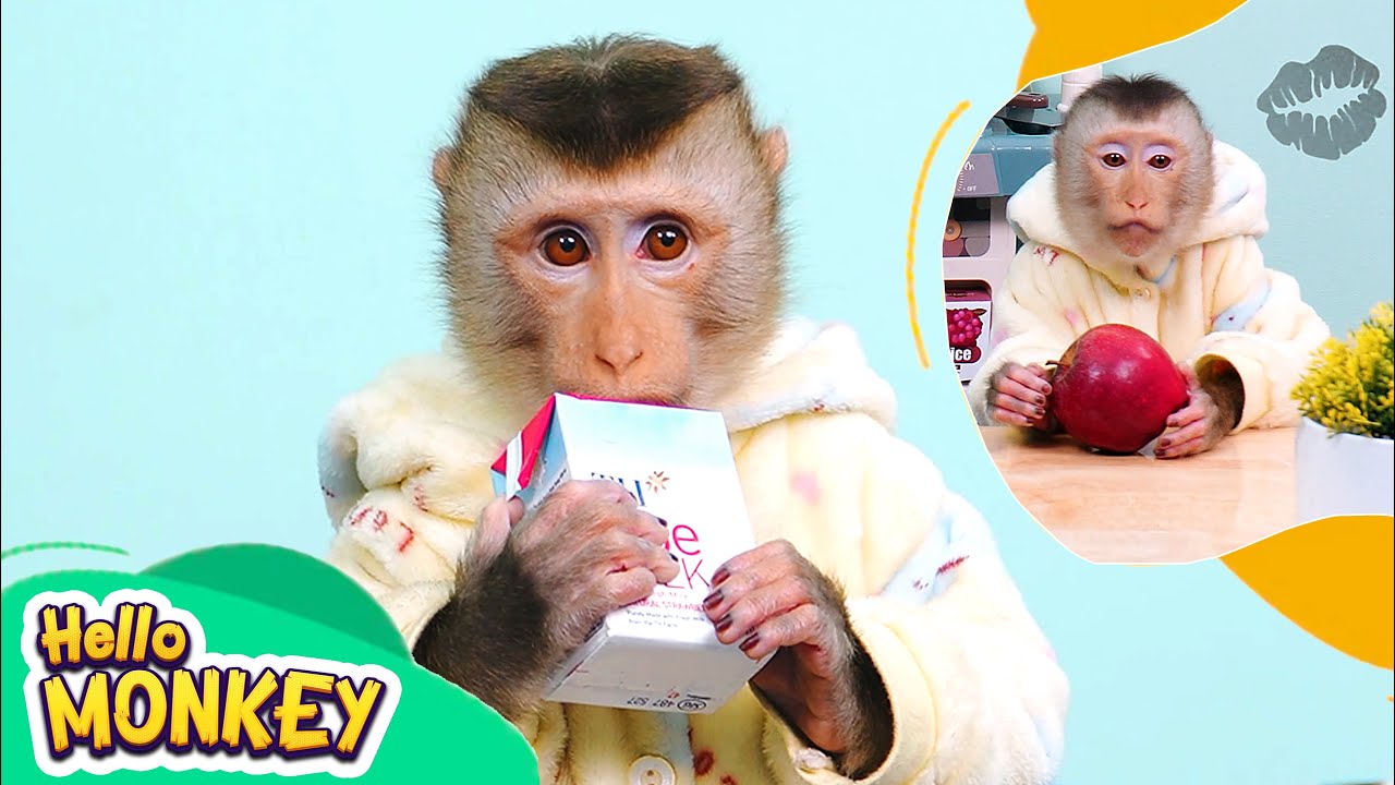 Monkey Bobo Knows How To Use A Straw And Peel Fresh Fruit  🍎🥤
