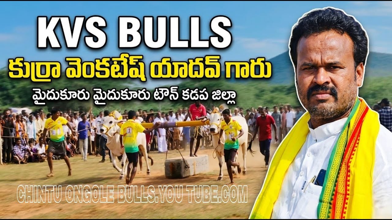 💥🌾మల్కాట్ పల్లి సీనియర్ విభాగానికి 1వ జత KVS Bulls కుర్రా వెంకటేష్ యాదవ్ గారు💥15-03-2026💥