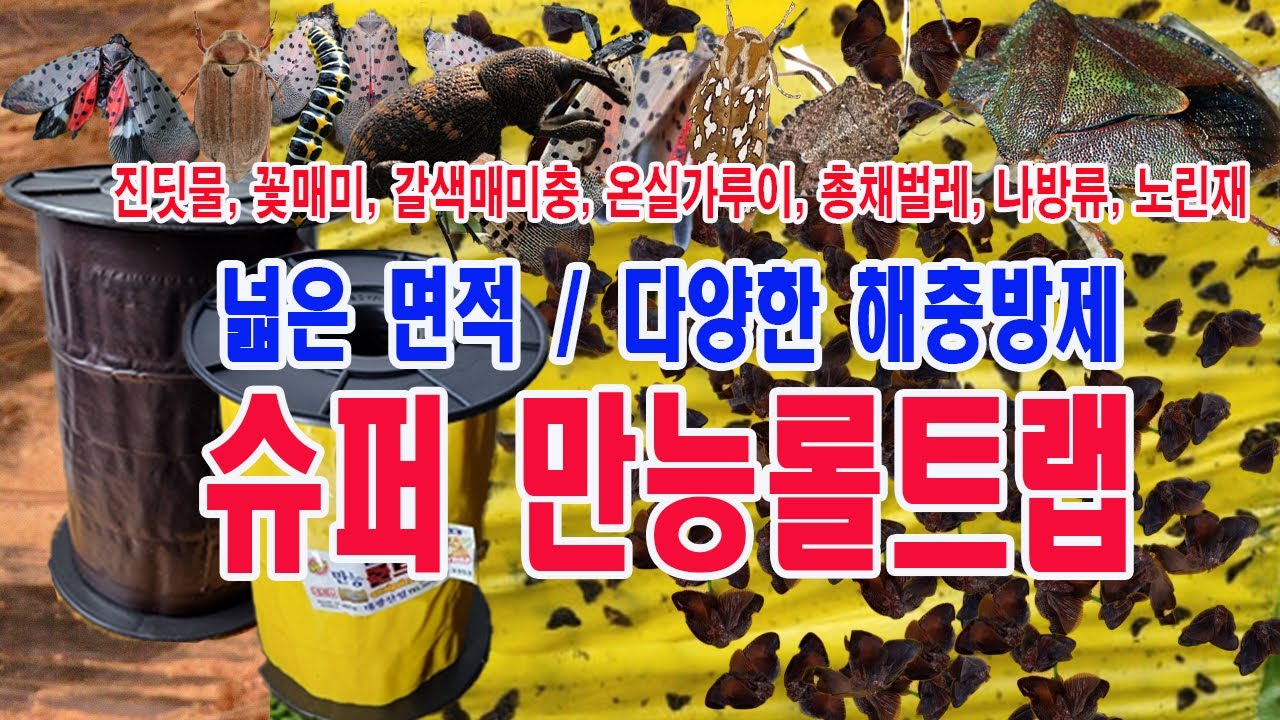 해충 잡는 슈퍼 만능롤트랩 사용 방법 과 사용 사례