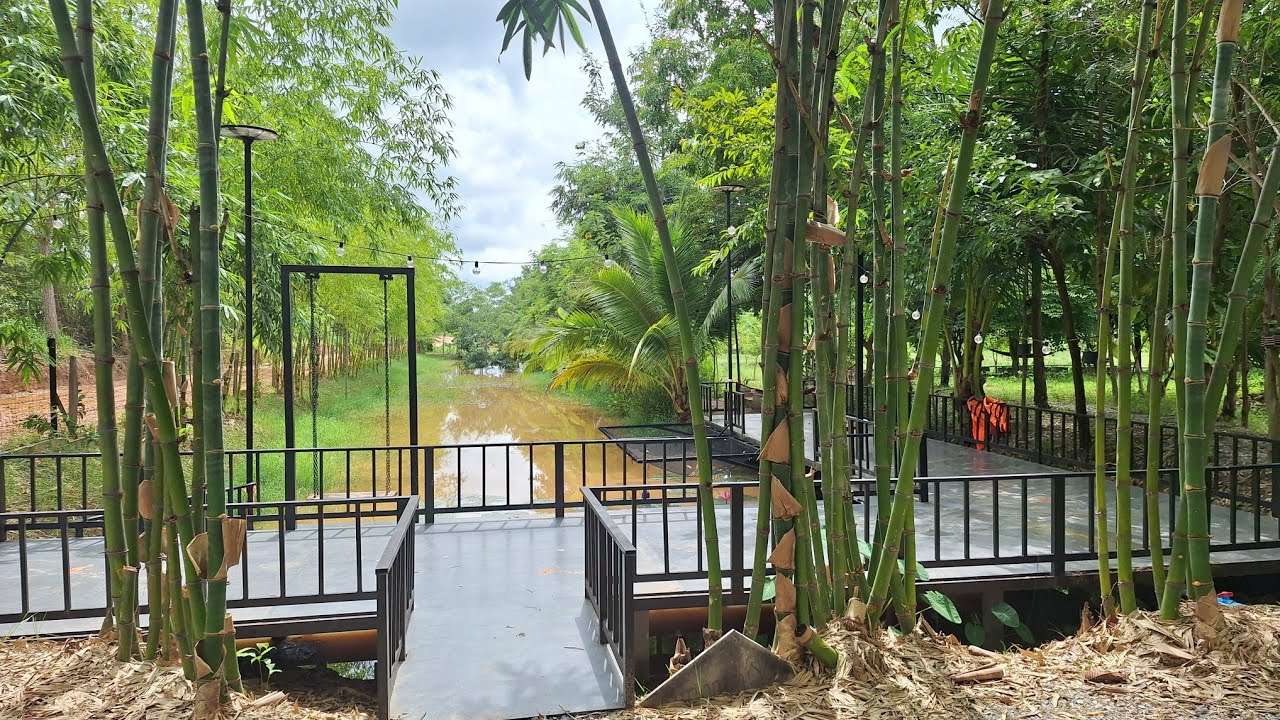 ฝนตกทุกวัน สวนเกษตรก็ร่มรื่นดี อากาศกะดี พาเดินเลาะเบิ่งสวนเกษตรกันครับ