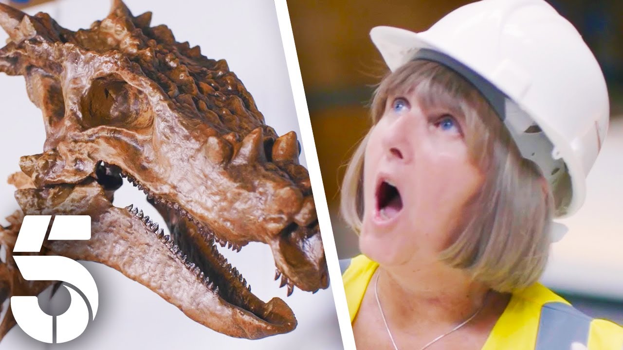 "The World's Most Important Dinosaur Fossil!" | Natural History Museum: World Of Wonder | Channel 5