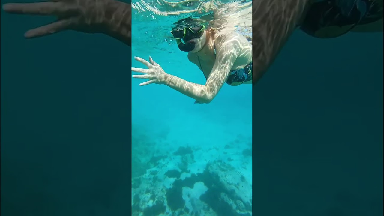 Snorkeling Aruba 