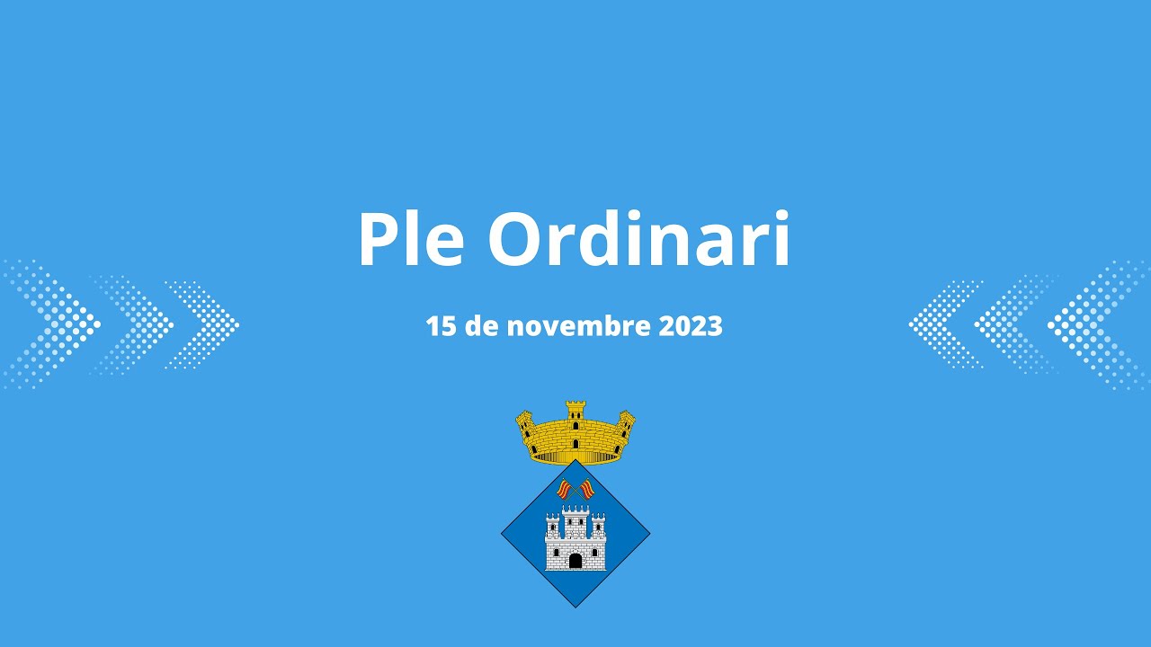 Ple Ordinari,  15 de novembre 2023