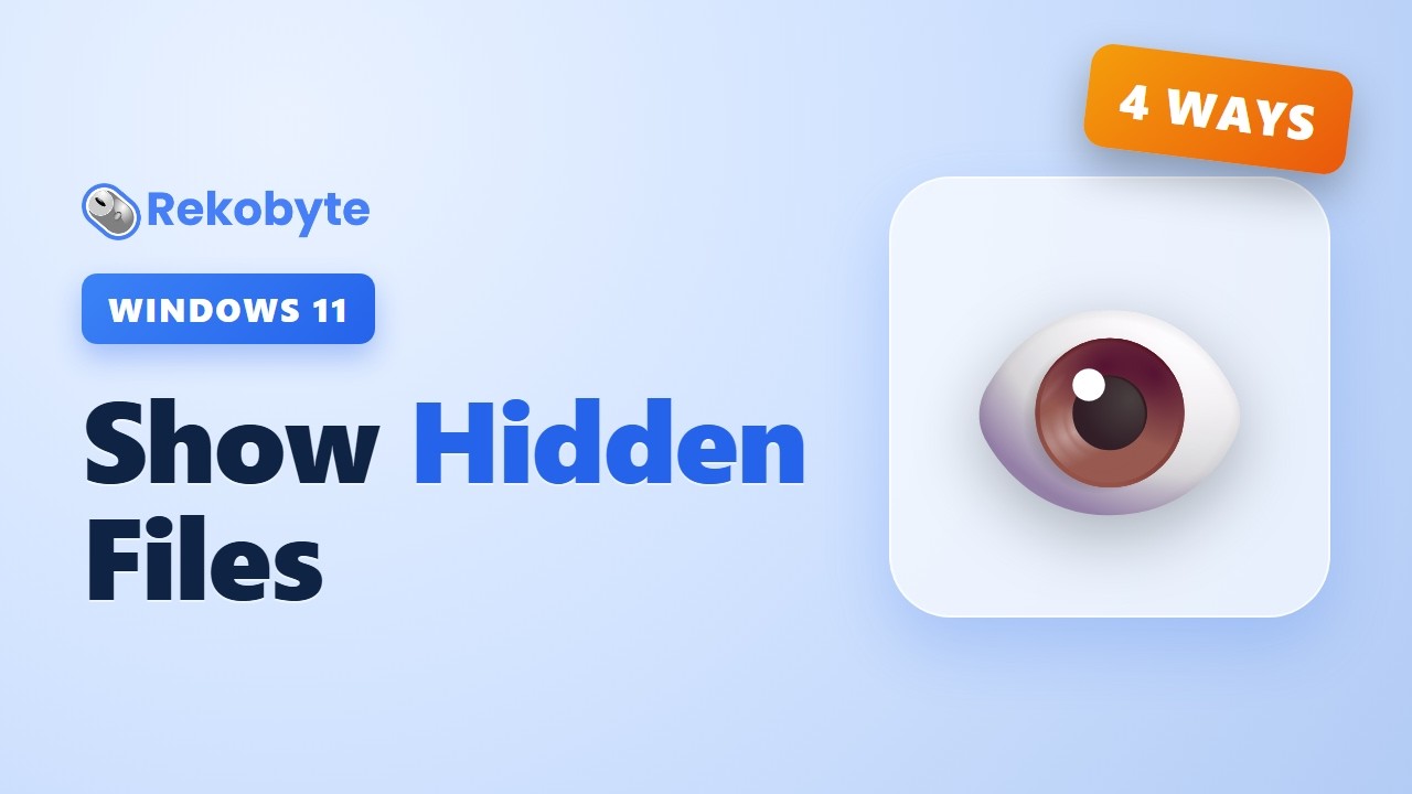 How to Show Hidden Files in Windows 11 (4 Ways)