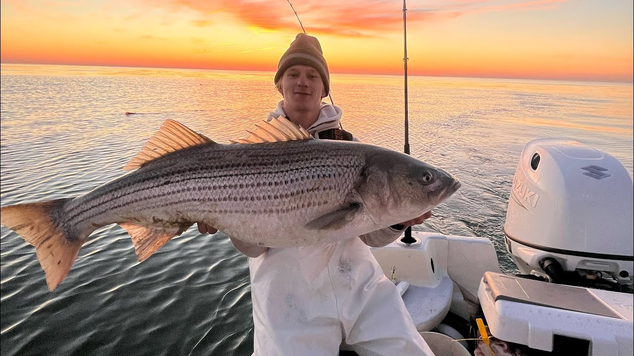 Commercial Hook and Line fishing for massive Striped Bass