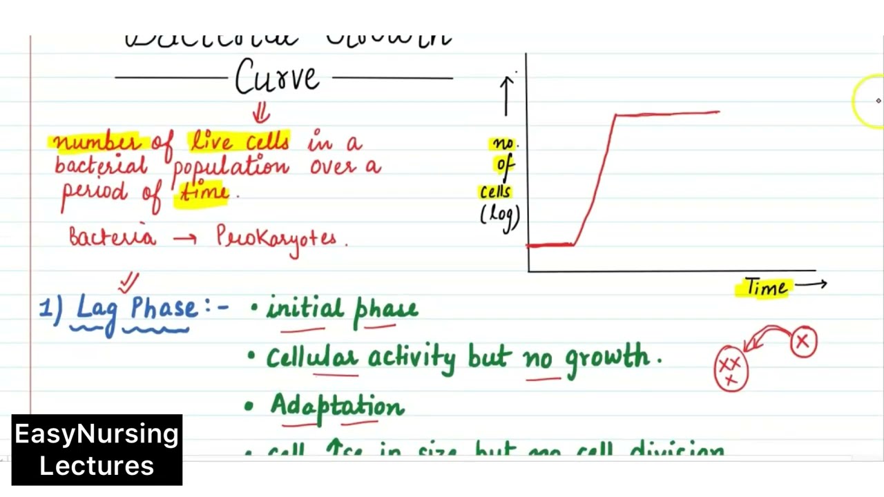 Bacterial Growth Curve in Hindi || Microbiology