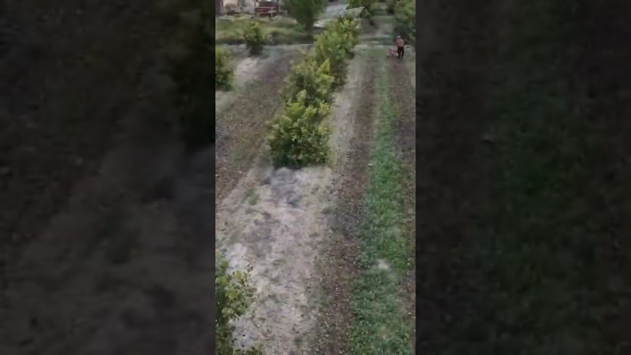 crazy farming in Spain #marketgarden #homesteading #offgrid #spain #allotmentlife #spring2022