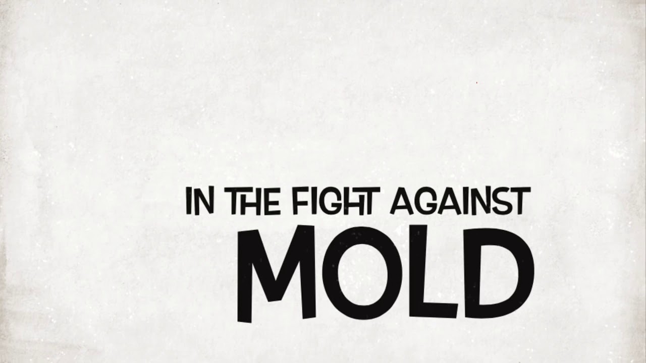 We offer commercial and residential protection from mold and germs