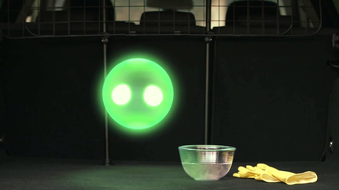 Como eliminar los pelos de tu mascota del coche con sólo unos guantes de goma