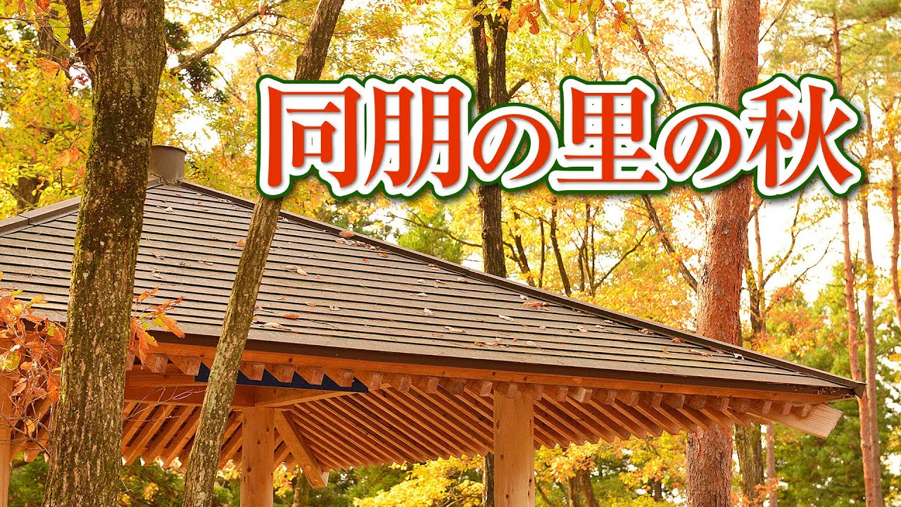 親鸞会 同朋の里の秋｜富山県射水市