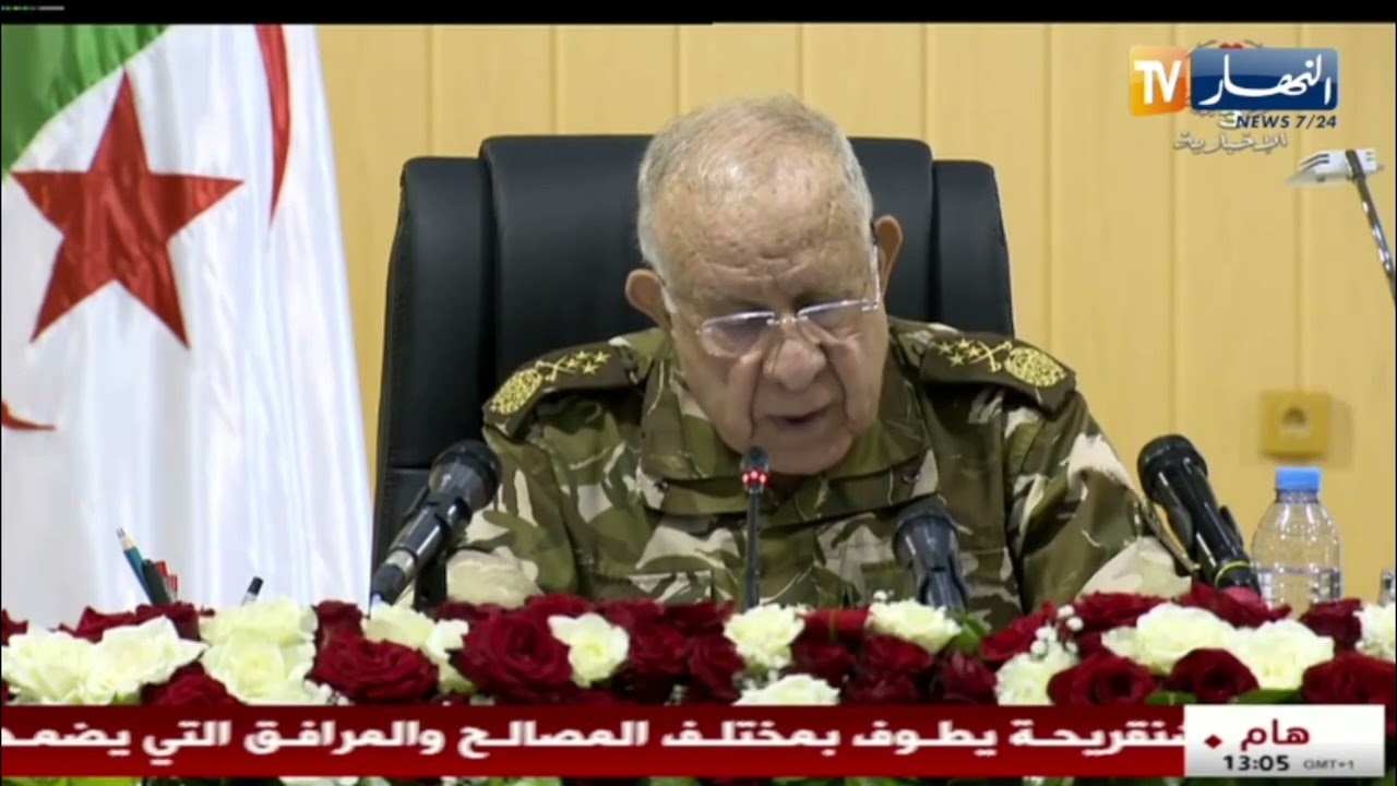الفريق أول شنقريحة يحذر من المنحنى التصاعدي لظاهرة تهريب المهلوسات