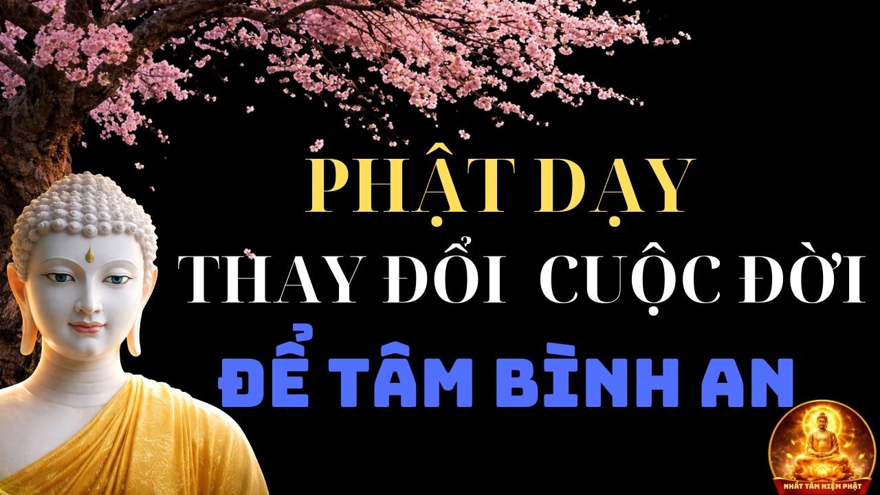 Lời Phật Dạy Có Thể Thay Đổi Cả Cuộc Đời - Để Tâm Bình An