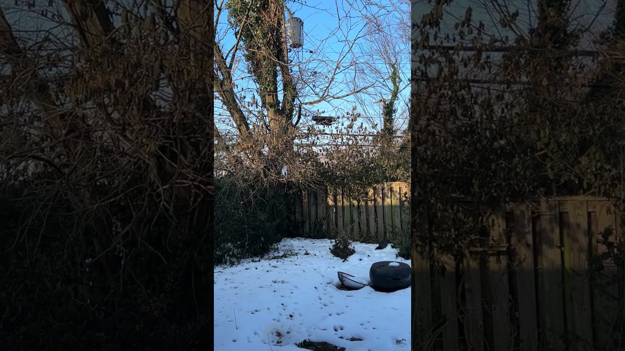 February 13, 2026 9:01 am