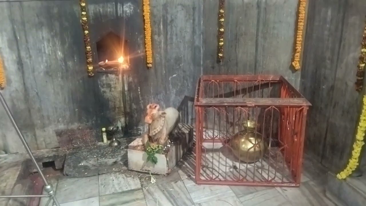 @#हर हर महादेव दर्शन #like #flowers #